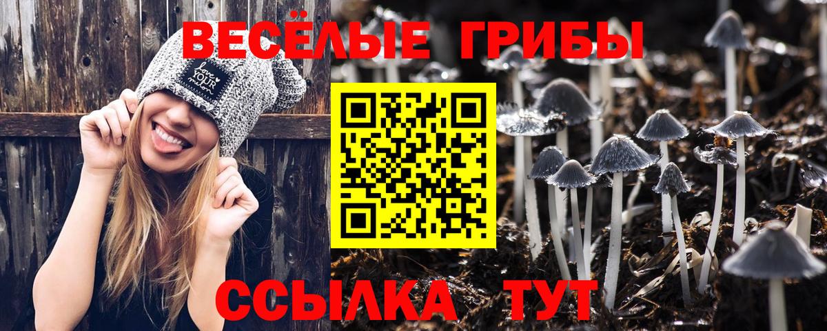 Галлюциногенные грибы ЛСД Дубна
