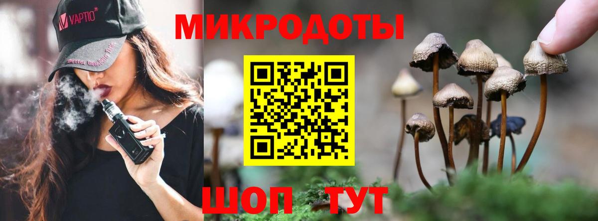 Дубна  Галлюциногенные грибы Magic Shrooms  Вход с VPN 